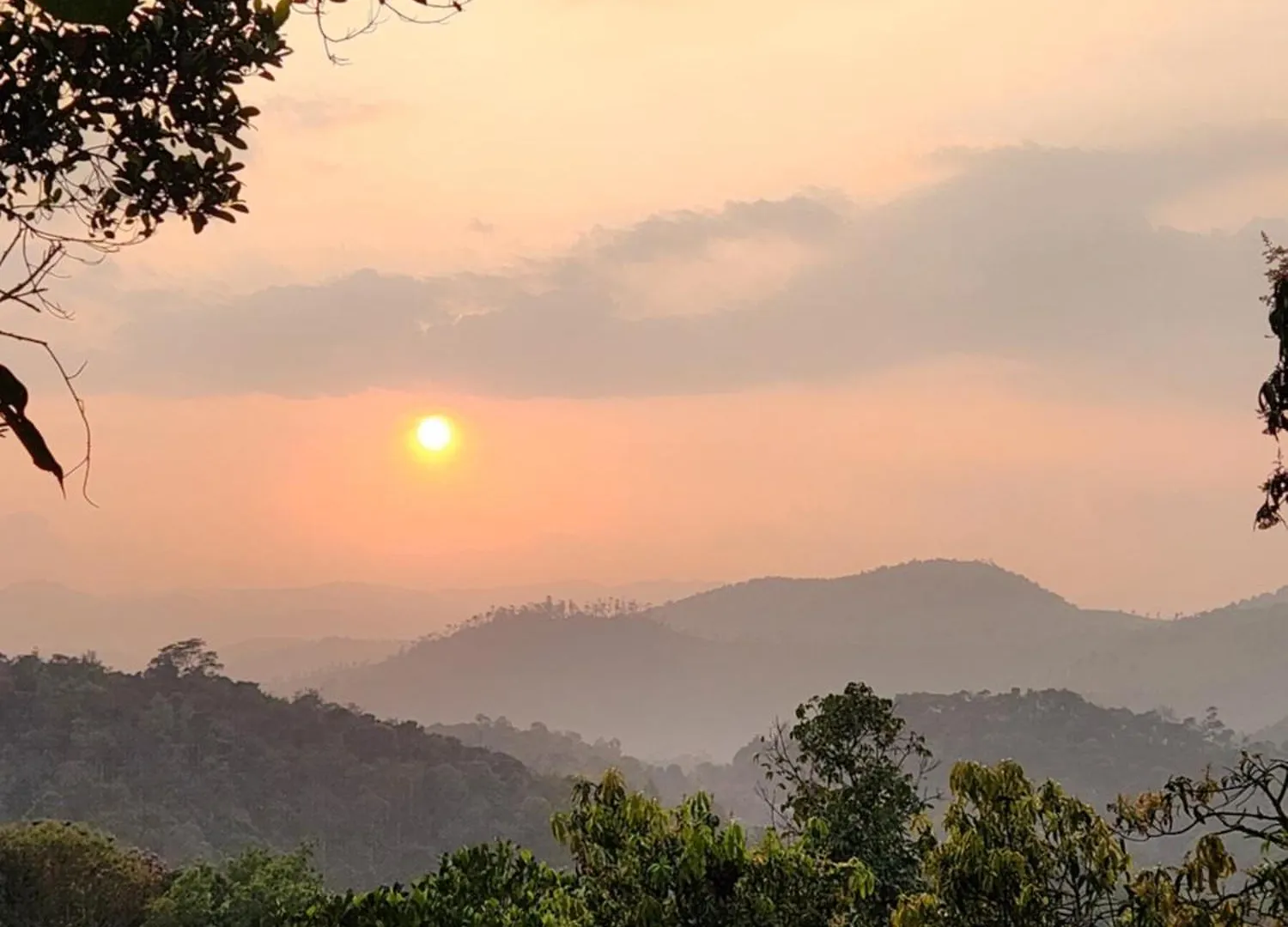 Villa Bethel Stays Thekkady